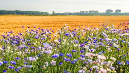 AdobeStock_277170143