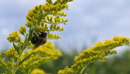 AdobeStock_287361321 (1)
