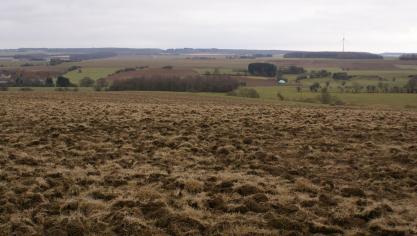 La destruction d’une prairie permanente est proscrite en automne, vu les risques encourus pour la qualité de l’eau en raison d’une libération potentiellement considérable d’azote minéral à court terme.