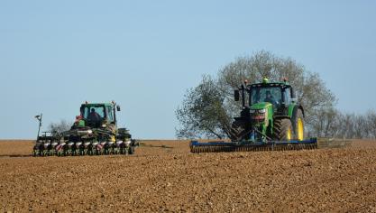La campagne betteravière à venir pourrait bien être la dernière sous le régime des semences enrobées.