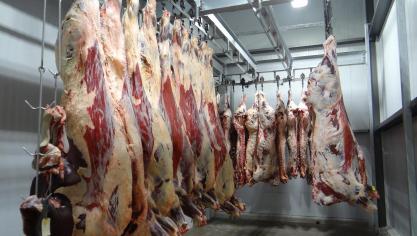 beef-1884301_1920 (1)