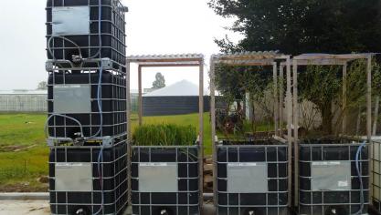 Biofiltre avec bacs plantés pour éliminer les eaux résiduelles par évaporation.