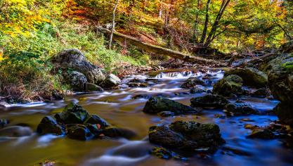 AdobeStock_177662822