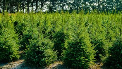 AdobeStock_216705471