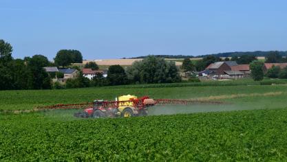 Les recherches menées dans la connaissance du mildiou par le Centre wallon de recherches agronomiques avec de nombreux partenaires visent particulièrement à améliorer le système d’avertissements pour une lutte encore plus raisonnée contre l’ennemi principal de la culture de pommes de terre.