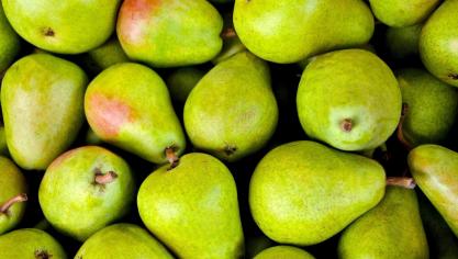 fruit-1534494_1920