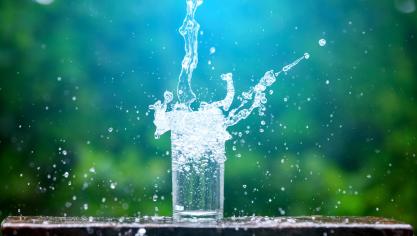 AdobeStock_294995860