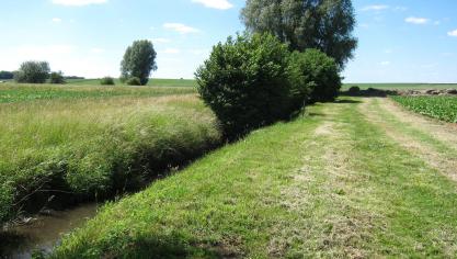 Au-delà des mesures de protection des eaux de surface, des dispositions existent également pour protéger des «organismes non ciblés», qu’il s’agisse d’espèces végétales ou d’insectes.