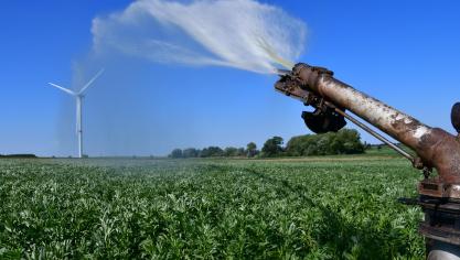 La féverole présente une forte sensibilité aux aléas climatiques et biotiques, ce qui complique sa culture.