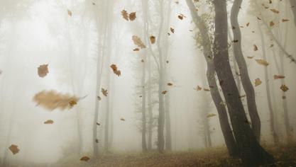 AdobeStock_292877624
