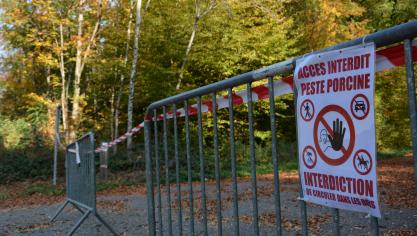 La fermeture des forêts est indispensable pour venir à bout de la PPA et éviter 
tout risque de propagation du virus, notamment via les sangliers séropositifs.