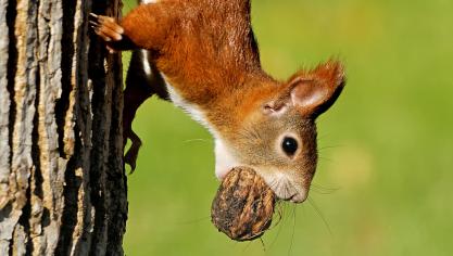 AdobeStock_141634222