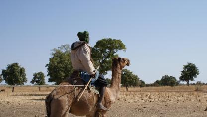 Parmi les virus zoonotiques – se transmettant de l’animal à l’être humain –un coronavirus détecté pour la première fois en 2012 en Arabie saoudite est responsable du syndrome respiratoire du Moyen-Orient (MERS). On l’a retrouvé chez des dromadaires dans plusieurs pays, dont l’Arabie saoudite, l’Égypte, Oman et le Qatar.