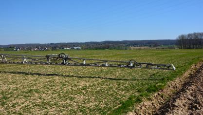 Le choix du traitement doit être raisonné pour chaque parcelle considérée individuellement sur la base des mauvaises herbes observées. Le niveau d