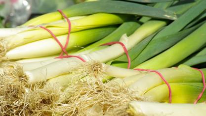 leeks-673243_1920