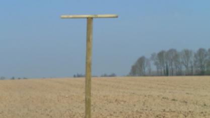 Les rapaces aiment avoir une vue panoramique, plus ils sont haut perchés, plus leur rayon d’observation est grand