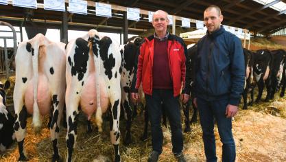 Jean-Marie et Arnaud Velghe, ont pu montrer les qualités de leurs croisées normandes lors de l’assemblée générale du Herd-book.