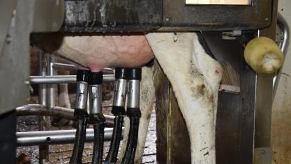 Pour pouvoir appliquer les décisions citées, la cotisation demandée aux producteurs laitiers sera majorée à partir du 1
er 
juillet 2020. Cette cotisation augmentera de 0,015 euro par 1.000 litres.
