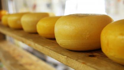 Les organisations agricoles appellent notamment la Commission à activer le stockage privé pour tous les produits laitiers: poudre, beurre, fromage…