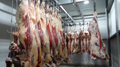 beef-1884301_1920
