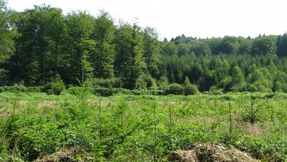 Ces fonds doivent soutenir des actions notamment dans le domaine des ressources naturelles, des énergies renouvelables, de l’innovation...