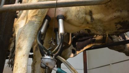 Les organisations professionnelles agricoles demandent à la Commission européenne d’activer le stockage privé pour tous les produits laitiers.