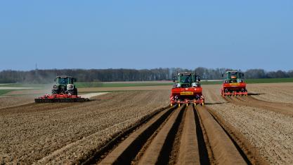 En ce milieu de semaine, la Fiwap estime à 30 à 40
% la proportion des plantations déjà réalisées dans le pays.