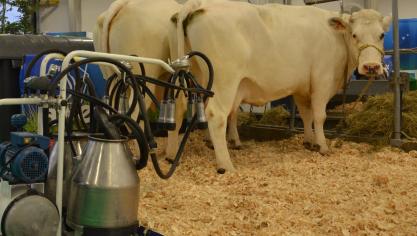 Le commissaire à l’Agriculture convient d’un soutien nécessaire aux producteurs laitiers, tout en évoquant des carences budgétaires. Il dit étudier également diverses initiatives pour aider le secteur de la viande.