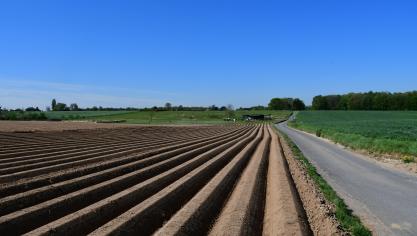D’énormes incertitudes planent déjà sur la saison prochaine dont les plantations devraient se terminer pour la fin de ce mois.