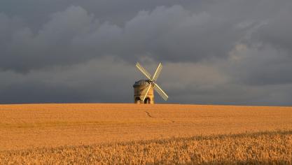 Les aliments de base tels que la farine, les pâtes, le riz, les fruits et légumes en conserve ont vu leur demande progresser, en lien avec la hausse de la consommation à domicile résultant des mesures de confinement.