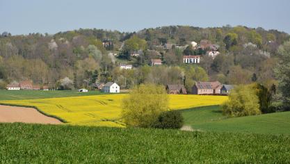 Le texte approuvé en commission agriculture du Parlement européen réitère  l’opposition des eurodéputés à toute réduction budgétaire liée à la PAC