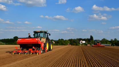 Les plantations se succèdent à vive allure...