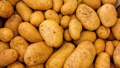 potatoes-411975_1920