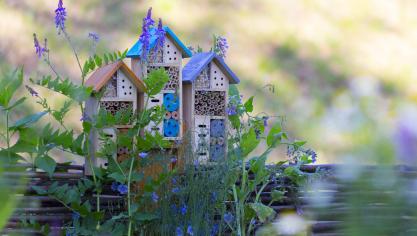 AdobeStock_206696906