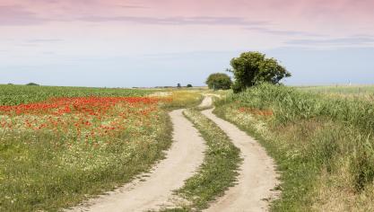 AdobeStock_168576774