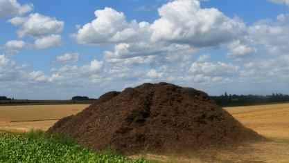 Cette année, les matières organiques exogènes telles que les digestats, boues ou composts de déchets verts ne sont pas comptabilisées dans le taux de liaison au sol tel que défini dans la conditionnalité.
