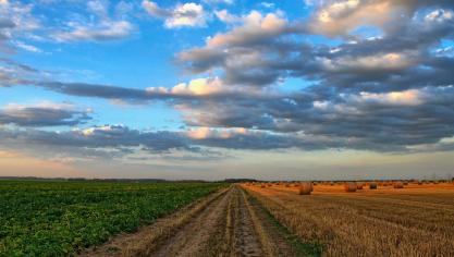 nature-213364_1920