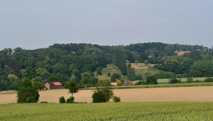 S’ils disent souscrire aux grandes lignes des stratégies « de la ferme à la table » et « biodiversité » que vient de présenter la Commission européenne, les ministres de l’Agriculture de l’UE ont aussi des craintes quant à leur impact sur la compétitivité agricole. Une de leurs principales inquiétudes concerne la concurrence déloyale des importations de produits alimentaires venant de pays tiers qui n’appliqueraient pas les nouveaux standards environnementaux européens.