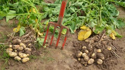 Les coins de champ de la Fiwap constituent autant d’opportunités pour les producteurs  de s’informer et d’échanger sur les questions d’actualité.