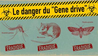 Le forçage génétique est une technologie d