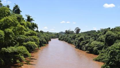 La vue ci-dessus est comme l’arbre qui cache la forêt. En réalité, la destruction de la partie brésilienne de l’Amazonie s’est encore accélérée, durant ces derniers mois, constate l’Inpe!