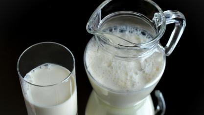 milk-518067_1920