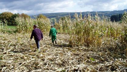 Les dégâts réalisés par la faune sauvage sont chaque année très nombreux. Pour calculer ceux-ci au plus juste,  le logiciel est mis à jour deux fois  par an.
