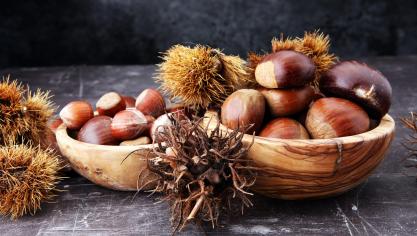 AdobeStock_176289489