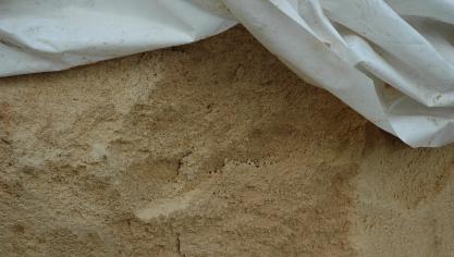 Le moment de la récolte est venu pour les agriculteurs qui souhaitent valoriser le maïs en grain humide.