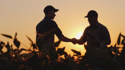 Un ami n’a jamais droit à une indemnité qualifiée de salaire différé car la Loi du 28 décembre 1967 relative à l’octroi d’un salaire différé dans l’agriculture et l’horticulture prévoit seulement ce type de salaire pour les descendants légitimes, naturels ou adoptifs.