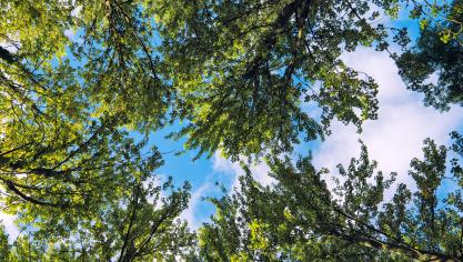 AdobeStock_167982698