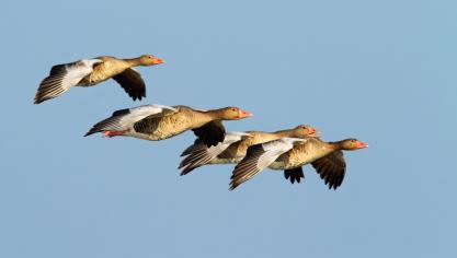 AdobeStock_353452898