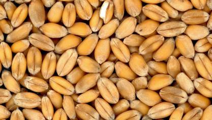 On s’oriente vers une production, une consommation et des stocks records.