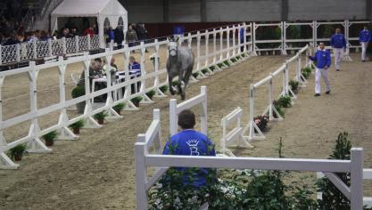 L’International Selection Show de Gesves aurait dû se tenir du 5 au 7mars.